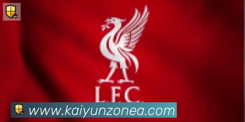 ky开云合作伙伴