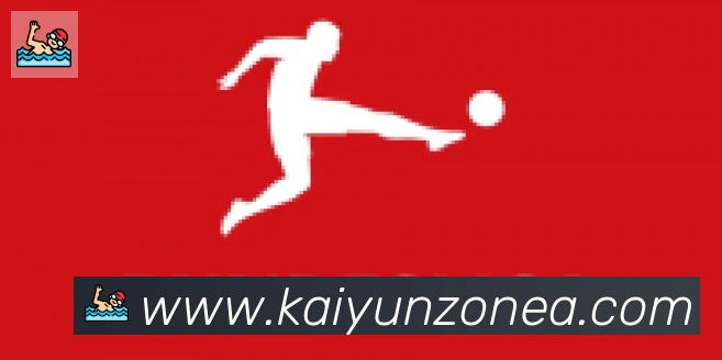 ky开云合作伙伴